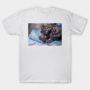 Dolly Molly T-Shirt